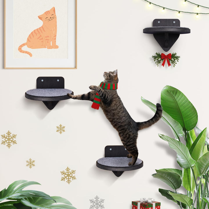 XL Premium Kletterwand Katzen aus Birkenholz | 3er-Set Katzentreppen mit Kratzflächen | Wandmontage