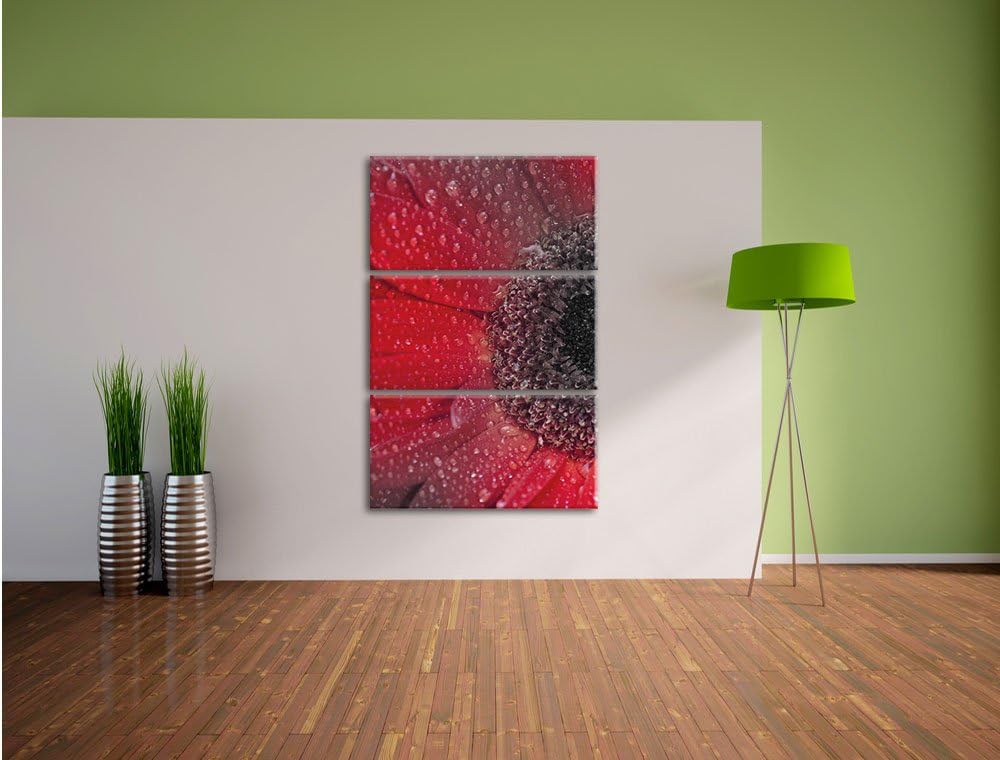 Pixxprint Rote Gerbera mit Wassertropfen als Leinwandbild/Grösse: 3 Teilig (120x80) cm/Wandbild/Kuns
