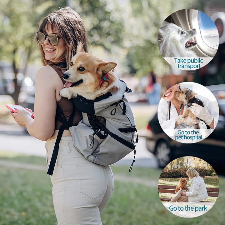Galatée Hundetragerucksack, Tragbarer Verstellbarer Hunderucksack, Belüfteter Haustiertragerucksack,