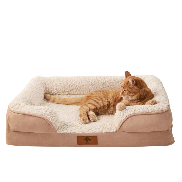 Orthopädisches Katzenbett waschbar & abnehmbar – Premium Memory Foam Haustierbett mit wasserdichtem