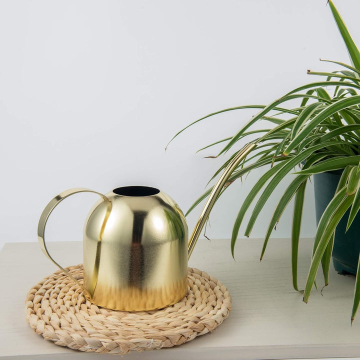 IMEEA 900ML Edelstahl Giesskanne, Zimmergiesskannen Moderner Blumengiesskanne mit Langer Auslauf für