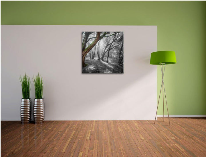 Pixxprint einsamer Baum in tristem Grau schwarz/weiss, Format: 70x70 auf Leinwand, 70x70