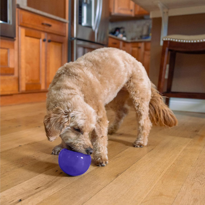 Planet Dog Orbee-Tuff Lil' Snoop - Interaktives Spielzeug für Hunde - Snackball - Lila - Klein