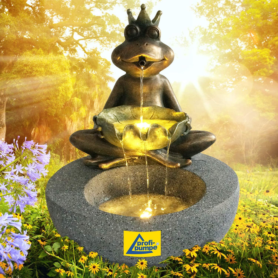 Gartenbrunnen Brunnen Zierbrunnen Zimmerbrunnen Springbrunnen Brunnen Frosch-Prinz mit LED-Licht 230