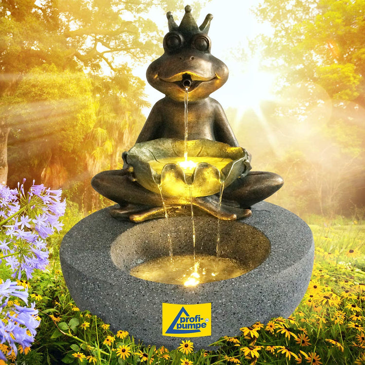 Gartenbrunnen Brunnen Zierbrunnen Zimmerbrunnen Springbrunnen Brunnen Frosch-Prinz mit LED-Licht 230