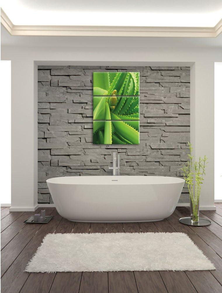 Pixxprint Aloe Vera als Leinwandbild/Grösse: 3 Teilig (120x80) cm/Wandbild/Kunstdruck/fertig bespann