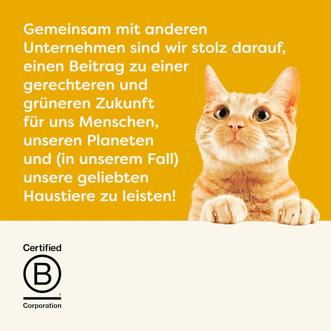 Applaws Senior Huhn in Gelee Katzen Nassfutter (24 Dosen) (24 x 70g) (kann variieren) Senior - Huhn