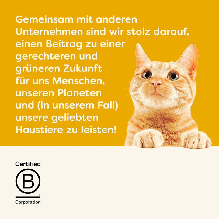 Applaws Senior Huhn in Gelee Katzen Nassfutter (24 Dosen) (24 x 70g) (kann variieren) Senior - Huhn