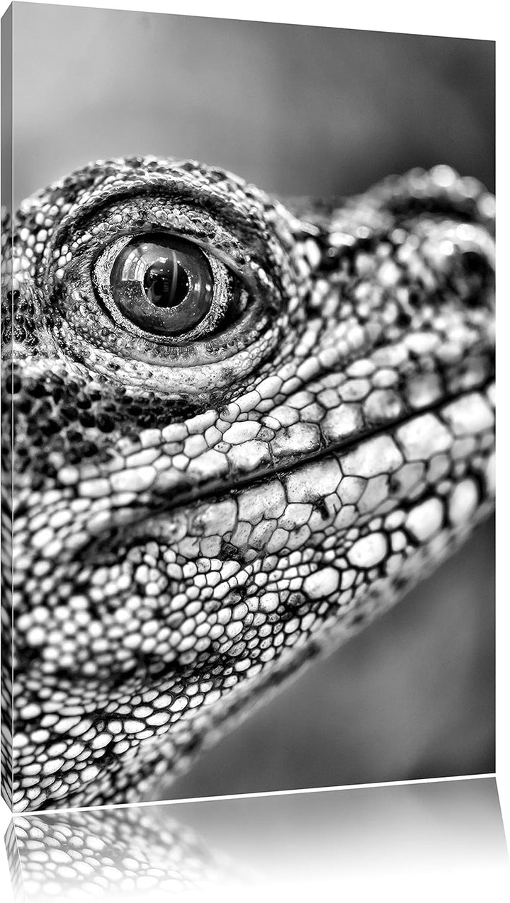 Pixxprint grosser Schuppenwaran / 100x70cm Leinwandbild bespannt auf Holzrahmen/Wandbild Kunstdruck