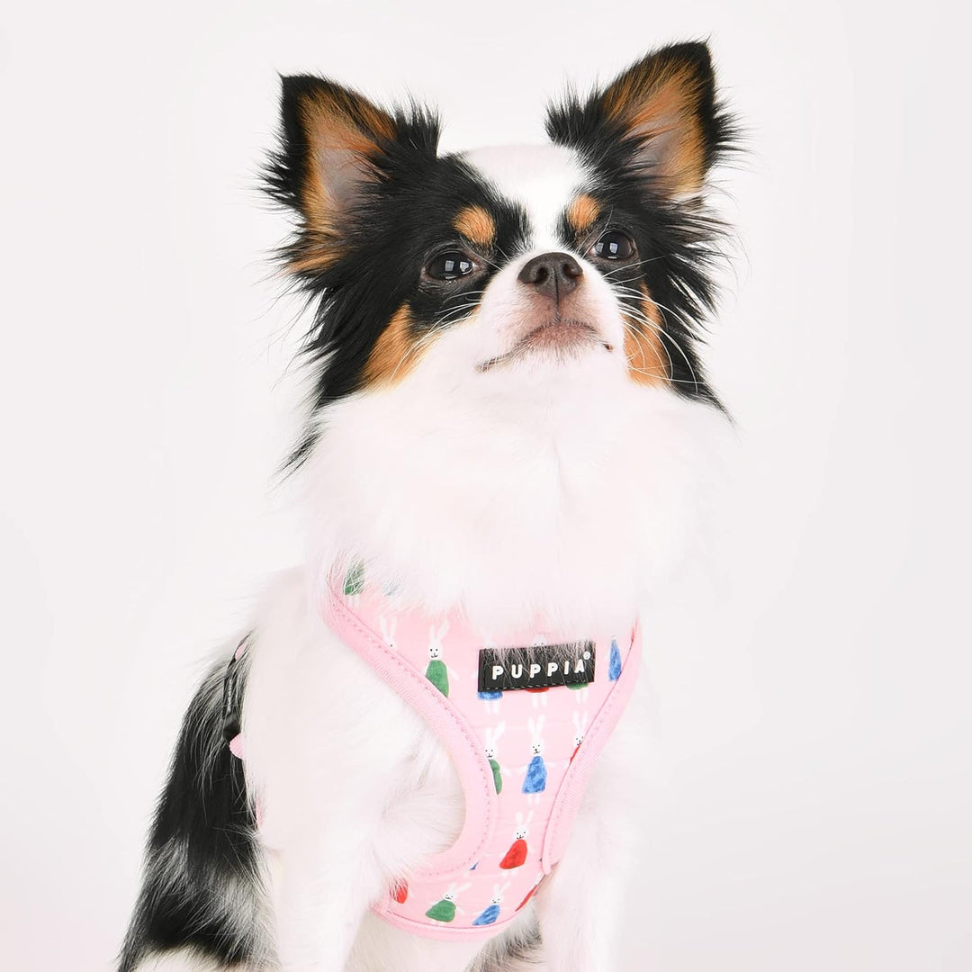 Puppia Hundegeschirr - Mollie Geschirr A – für kleine und mittelgrosse Hunde rose L, rose L