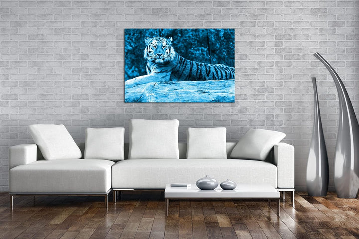 deyoli anmutiger ruhiger Tiger Format 80x60 Effekt: Monocrome Blau als Leinwandbild, Motiv fertig ge