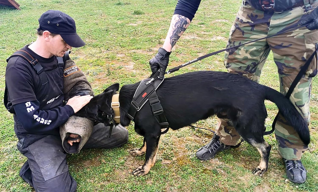 Dingo Gear Schutzarm Extern Mini Soft aus Jute Bissmanschette Hundeausbildung Hundetraining Bisstrai