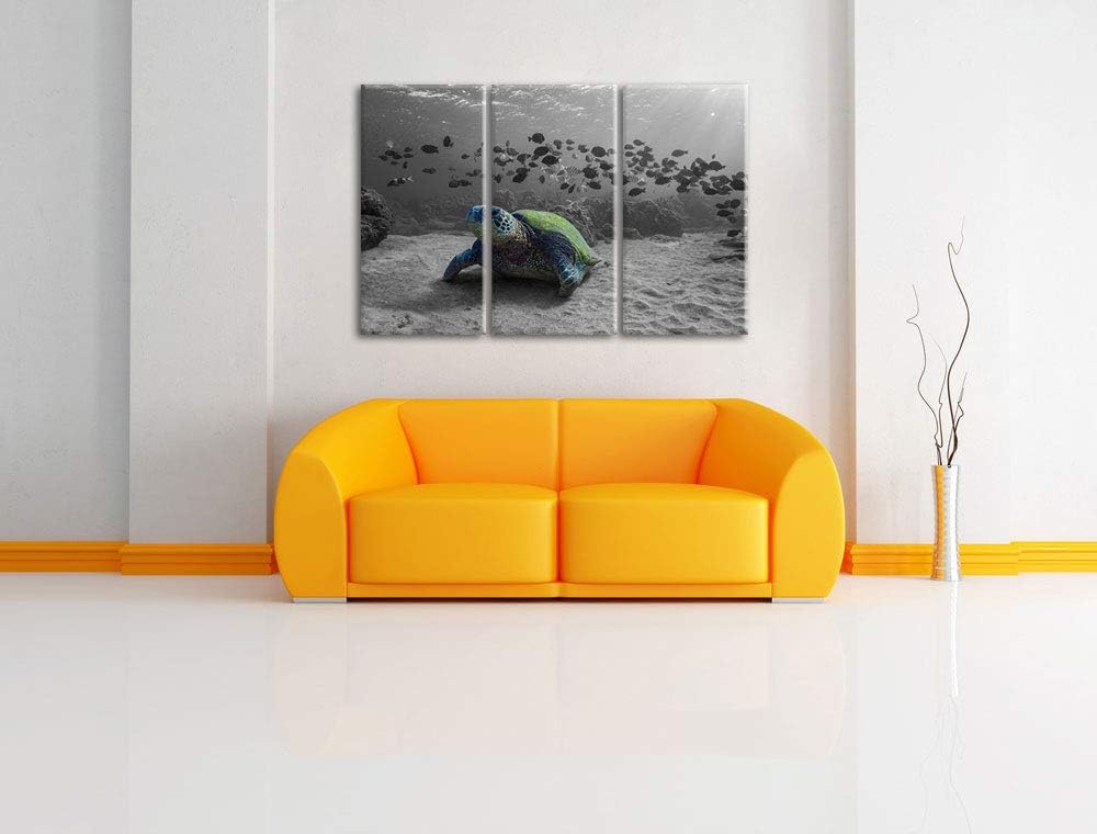 Pixxprint Schildkröte im Ozean als Leinwandbild | Grösse: 3 Teilig (120x80) | Wandbild| Kunstdruck |