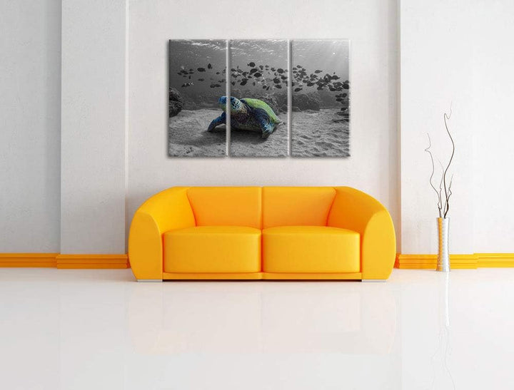 Pixxprint Schildkröte im Ozean als Leinwandbild | Grösse: 3 Teilig (120x80) | Wandbild| Kunstdruck |