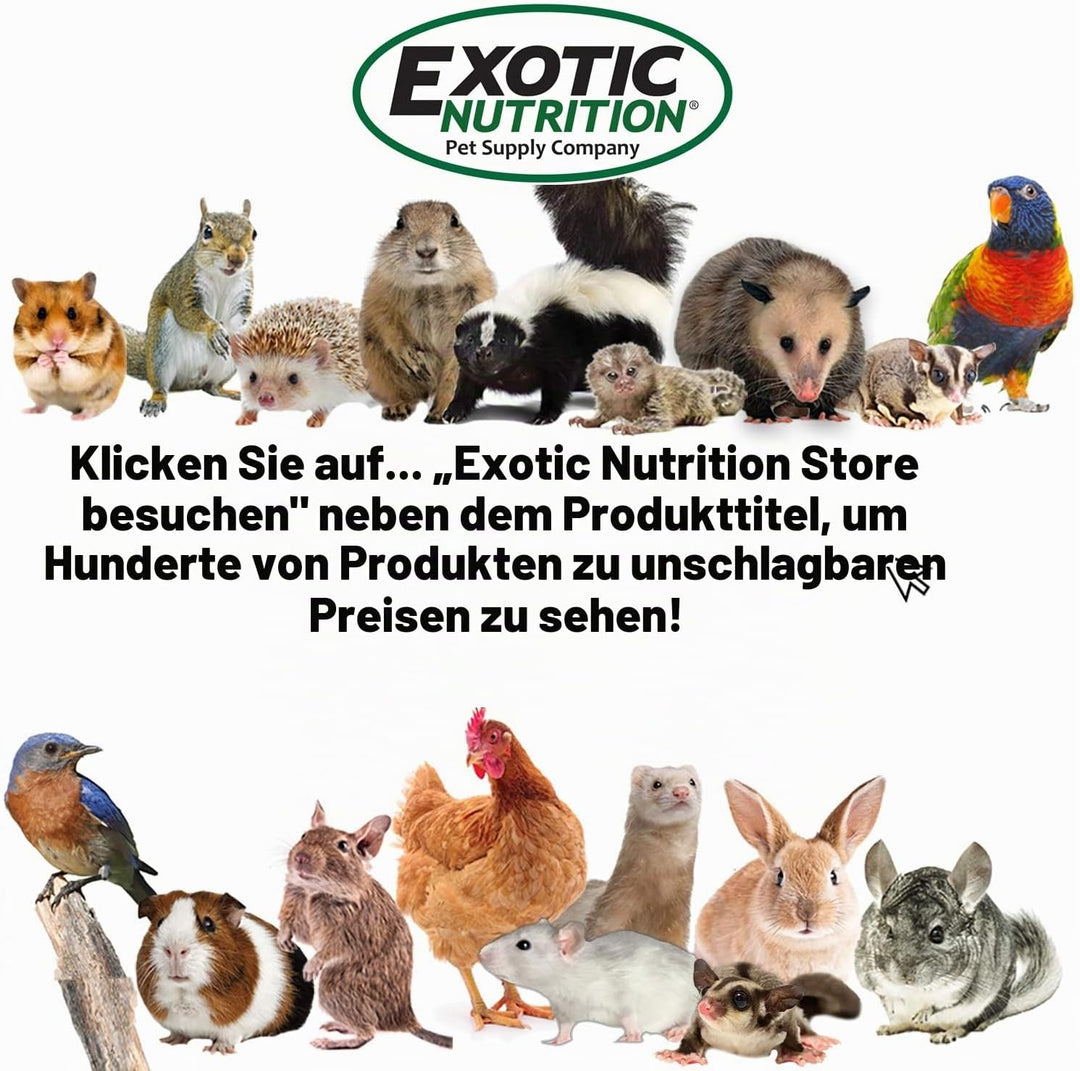 Exotic Nutrition Silent Runner 30,5 cm breit + Sandschiene, Käfigbefestigung