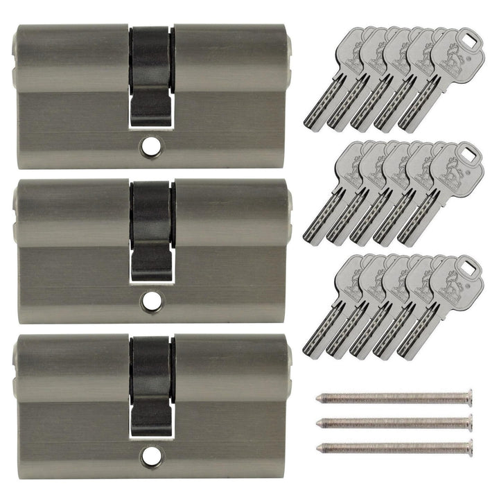 Löwen Sicherheitsschloss 3x Gleichlauf-Zylinderschlösser 60 mm PZ 30 x 30 mit 10 Schlüsseln