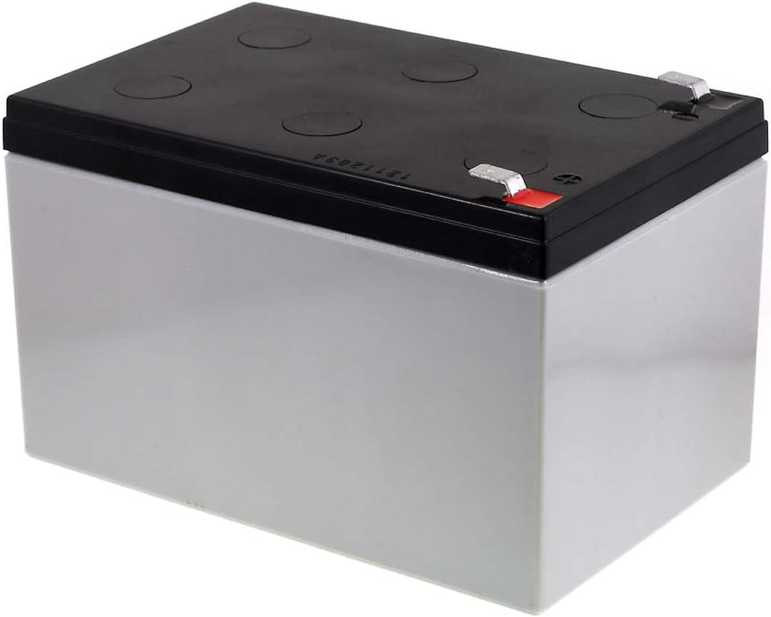 Yuasa Original Bleiakku NP12-12 Vds, Lead-Acid, 12V