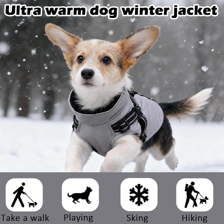Hundemantel Winter mit Geschirr Einstellbar, ZoneYan Wasserdicht & Warm Hundemantel für Kleine Hunde
