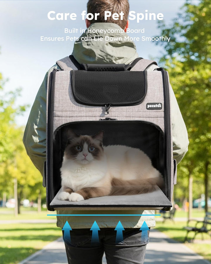 pecute Hunderucksack Erweiterbar XL für 6-10 kg, Faltbar Katzenrucksack Katzen mit Anti-offener Reis