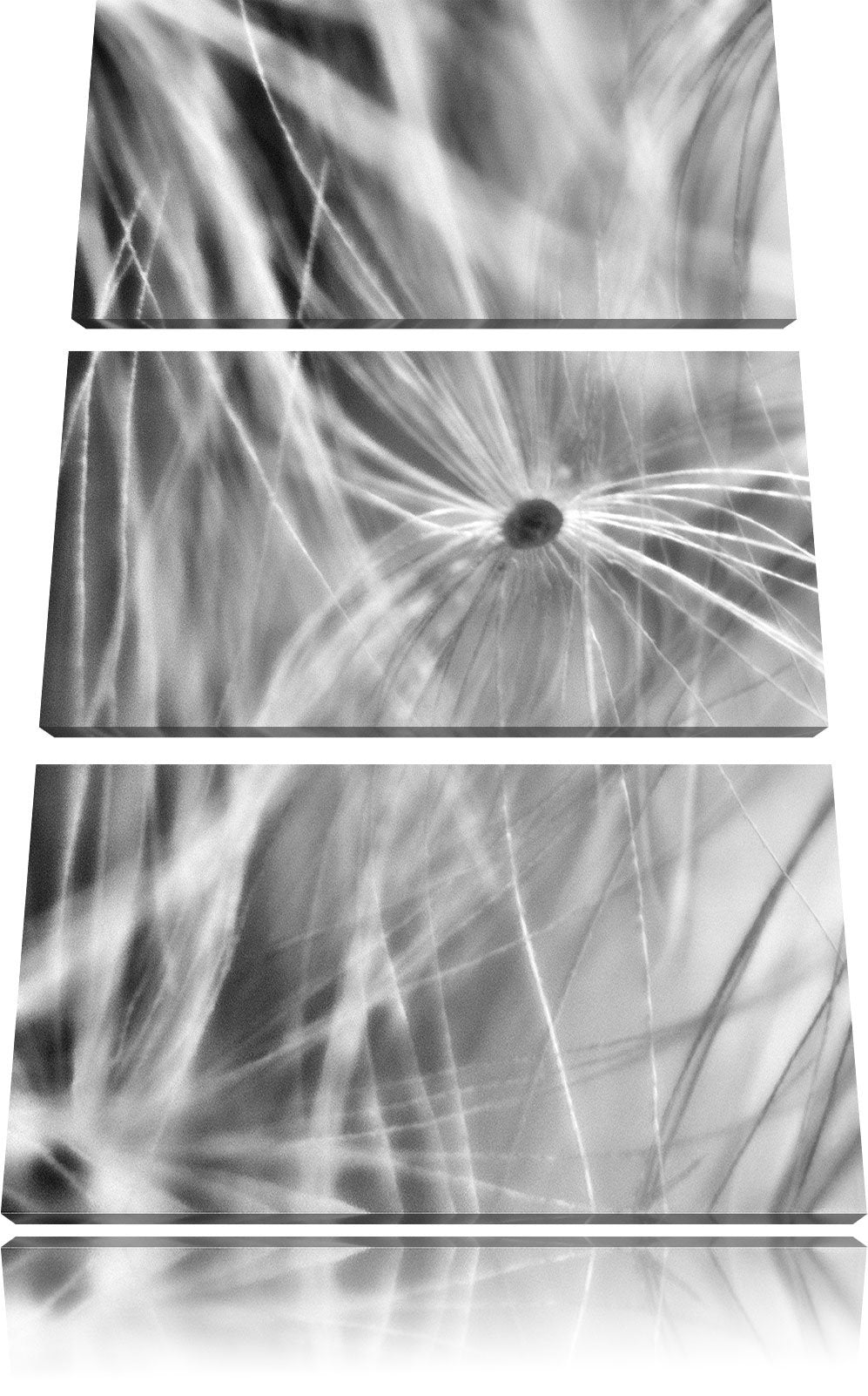 Pixxprint zarte Pusteblumenpollen als Leinwandbild/Grösse: 3 Teilig (120x80) cm/Wandbild/Kunstdruck/