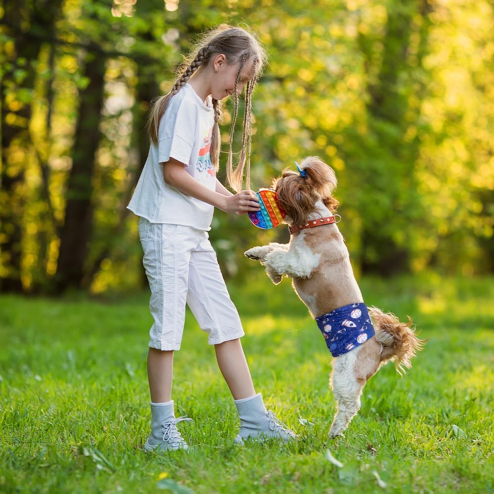 MICOOYO Wiederverwendbare Hundewindeln für Männer, 3er-Pack, waschbare Bauchbänder für Hunde, super
