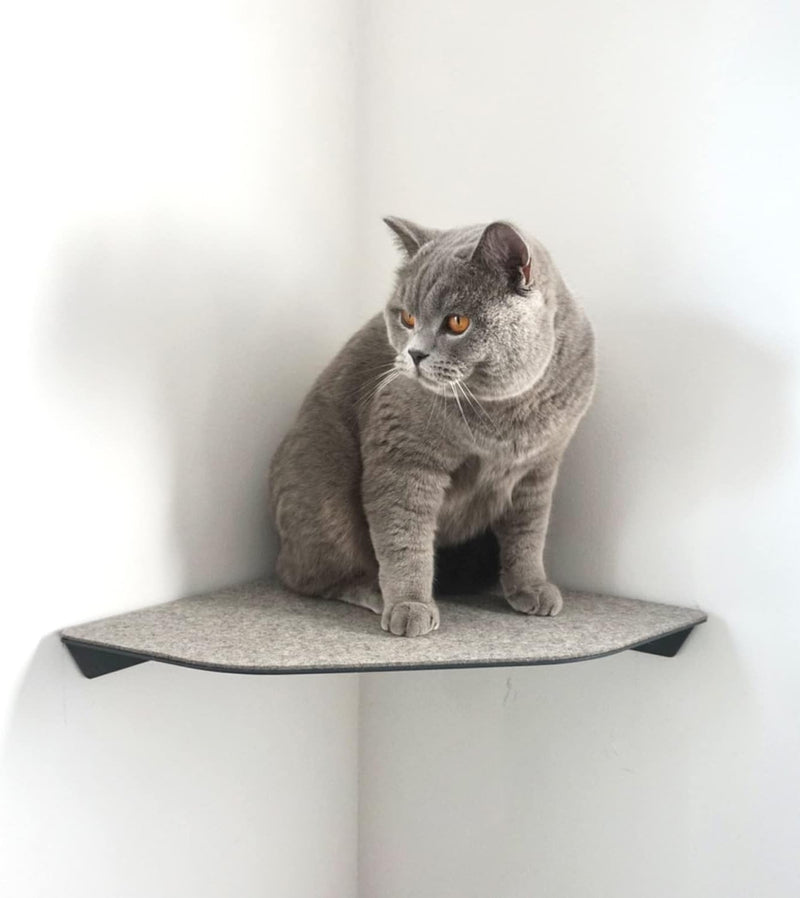 LucyBalu® CORNER Katzenliege & Kletterstufe mit Filzauflage für Wandecken | Wandliege für Katzen | K