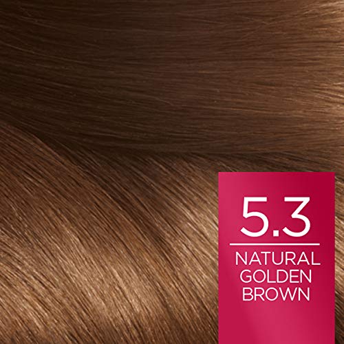 L 'Oreal Paris Excellence 5.3 Goldbraun, 5.3 Goldbraun