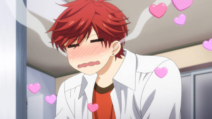Shojo-Mangaka Nozaki-Kun Vol. 3 im Sammelschuber (Ep. 9-12) (DVD), DVD