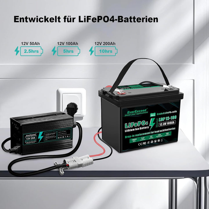 EverExceed Lithium Ladegerät 12V 20A 14,6V Ladegerät Lifepo4 AC-DC, Batterieladegerät Lifepo4 20A fü