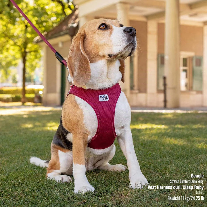 Vest Harness curli Clasp Air-Mesh Fuchsia L Rosa (Fuchsia) L Einfarbig, Rosa (Fuchsia) L Einfarbig