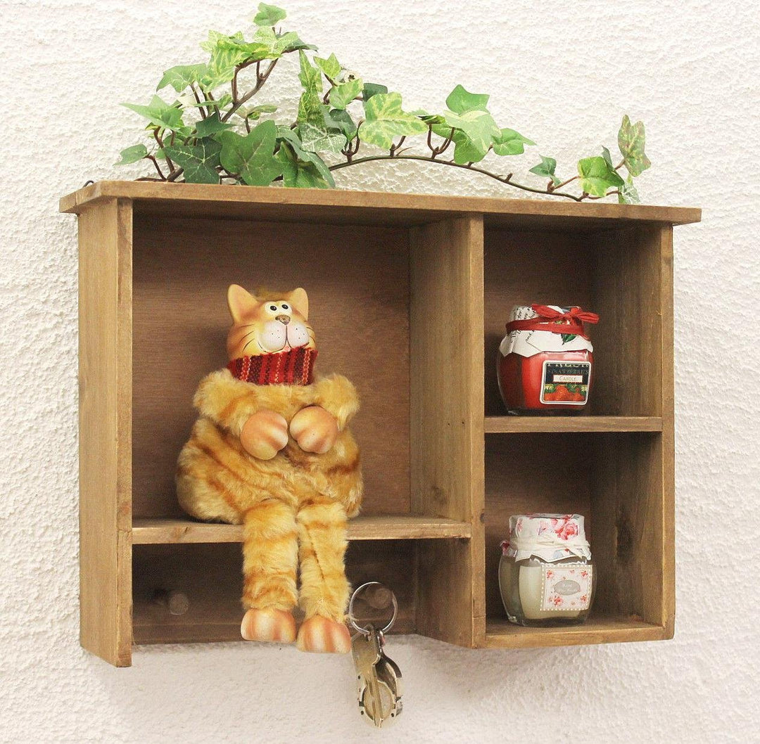 DanDiBo Setzkasten 14B221 Wandregal Shabby 34 cm Sammlervitrine Schlüsselhaken Regal