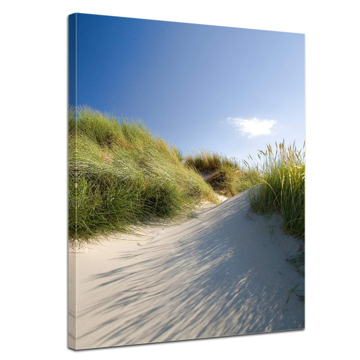 Bilderdepot24 Bild auf Leinwand | Dünengräser 1 in 50x60 cm als Wandbild | Wand-deko Dekoration Wohn