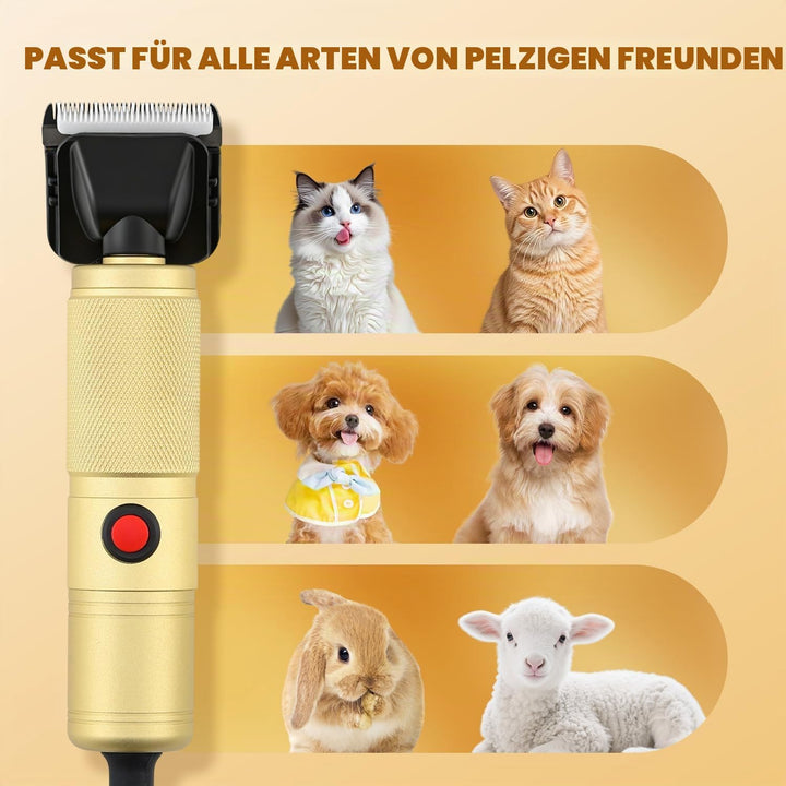 CGOLDENWALL Leise Hundeschermaschine Profi 280W, 2000-6000U/min Stufenlose Geschw.,, Gold
