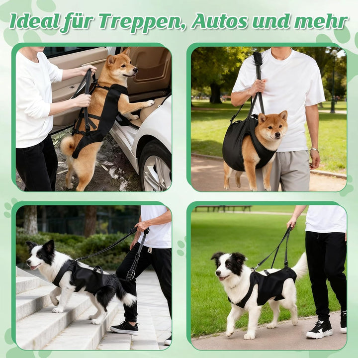 Hunde-Hebegeschirr, Tragehilfe für Hunde, Stützgeschirr mit verstellbaren Griffen und atmungsaktivem