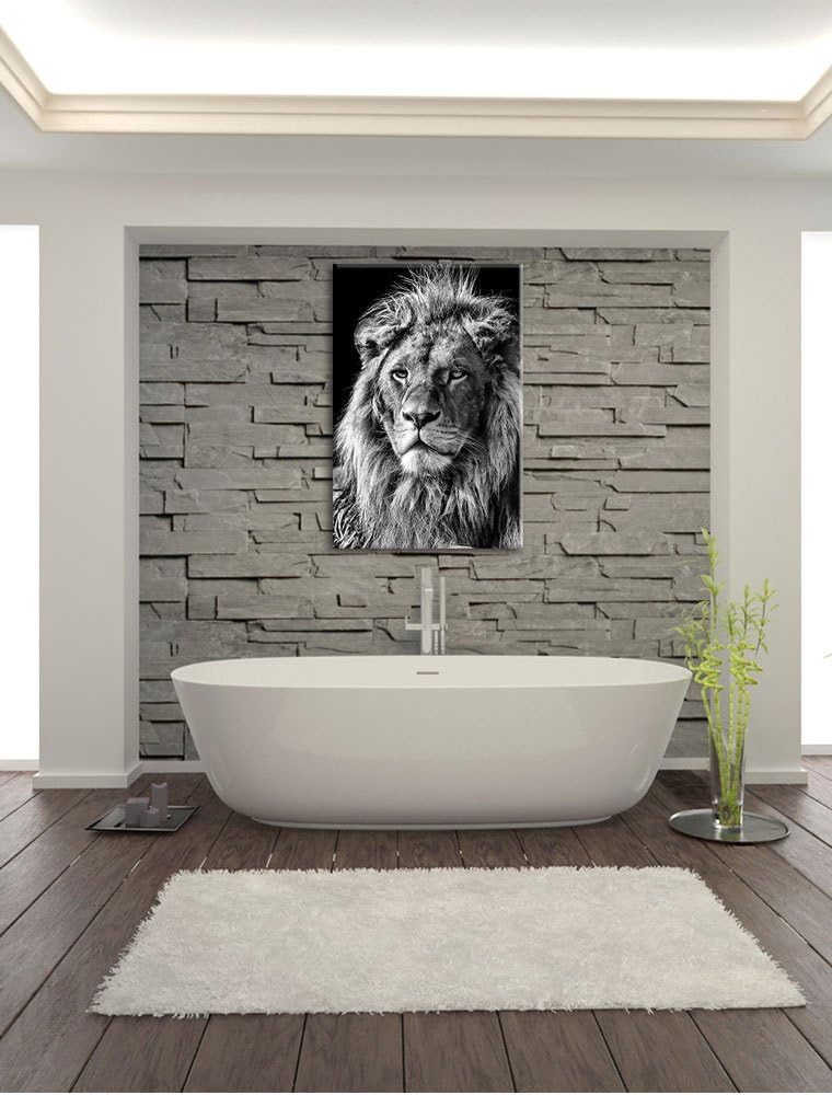 Pixxprint Monocrome, beeindruckender Löwe, Format: 100x70 auf Leinwand, 100x70