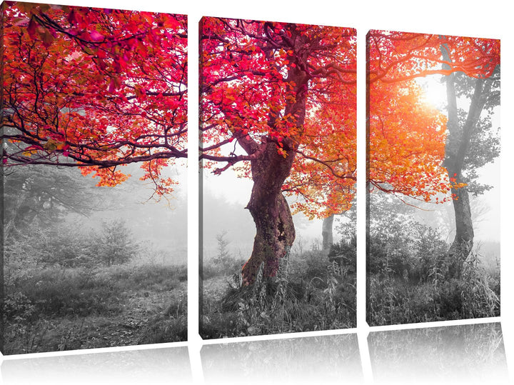 Zauberhafte Waldlandschaft schwarz/weiss 3-Teiler Leinwandbild 120x80 Bild auf Leinwand, XXL riesige