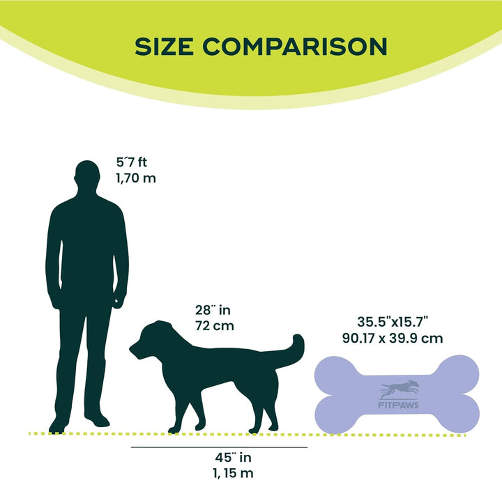 FitPAWS Giant Fitbone (blau)