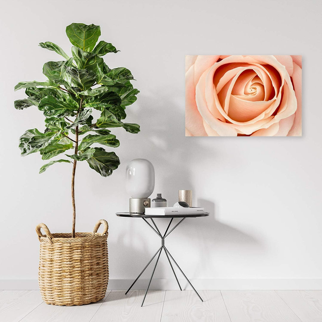 Feeby Wandbild Natur Druckbild Leinwandbild Blume Orange 100x70 cm M14558 100x70 cm, M14558 100x70 c