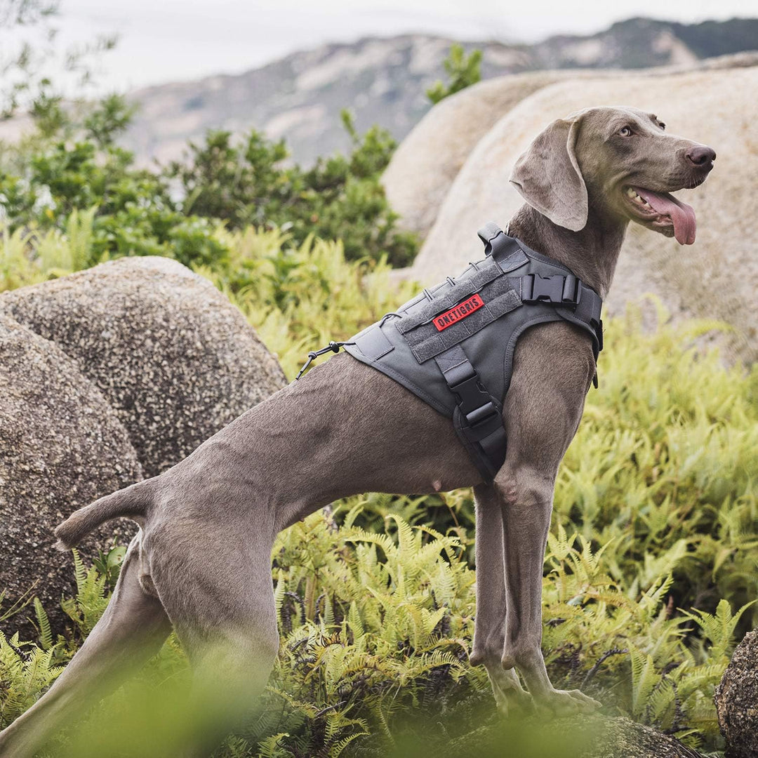 OneTigris Taktische Hundeweste Service Hundegeschirr MOLLE Hundeausbildung Geschirr 1000D Nylon (M,