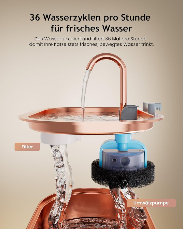 Kittyspout Katzenbrunnen 3,2L aus 304 Edelstahl, mit sichtbarem Wasserstand, leiser Pumpe und Filter