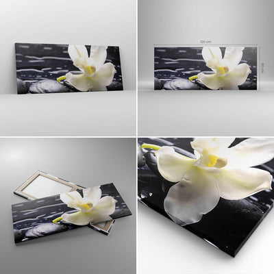 Wandbilder Dekoration Wohnzimmer Spa Orchidee Steine Wasser Panorama Bilder auf Leinwand 120x50cm Le