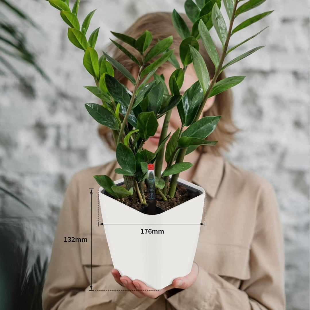 CPROSP 6X Selbstbewässerungstopf mit Wasserstandsanzeigen, Kräutertopf Selbstbewässernd 13,7 * 13,5