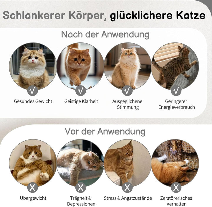LEADZM Katzenlaufrad 80cm Durchmesser - Laufrad Katze aus Kunststoff, Inklusive Teppich und Katzensp