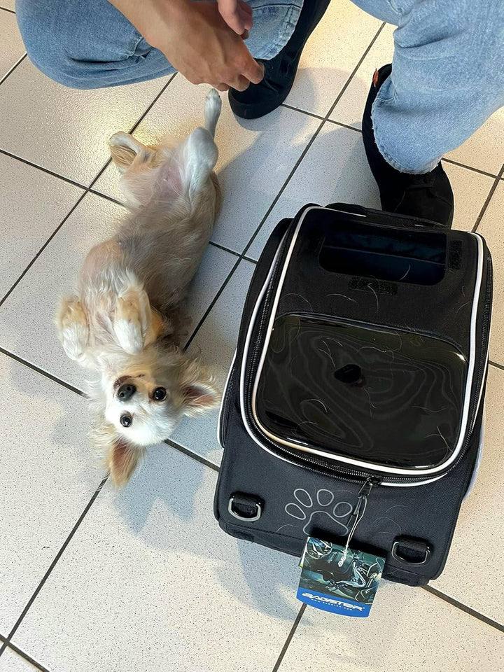 Bagster Puppy Tankrucksack (Small) (Schwarz)