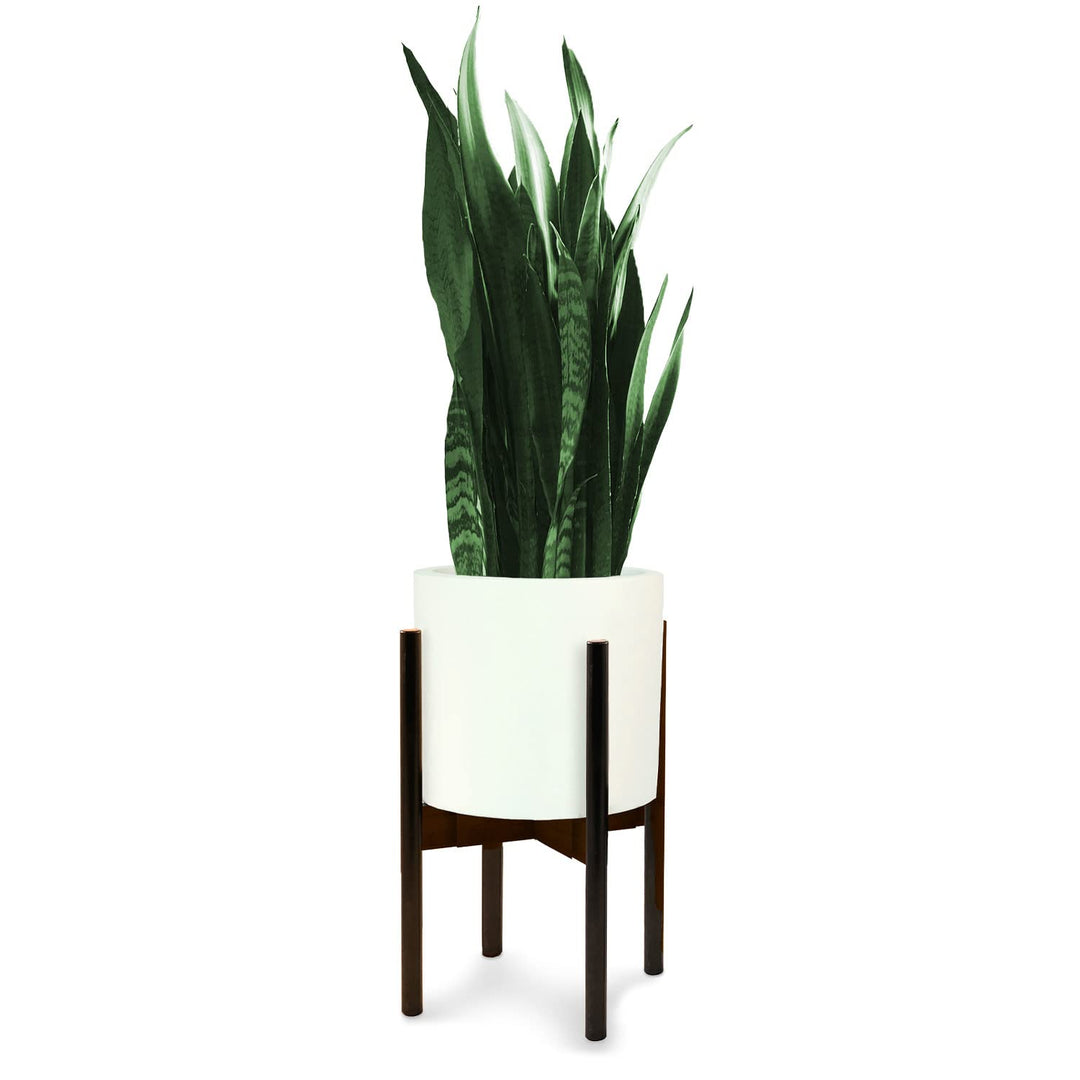 Fox&Fern Pflanzenständer verstellbar M OHNE Übertopf - Blumenständer Holz aus nachhaltigem dunklen B