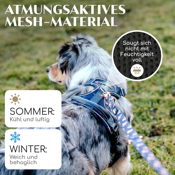 FREUDENTIER® atmungsaktives Hundegeschirr - komfortabel gepolstert - Let’s get Foxy Kollektion - 100