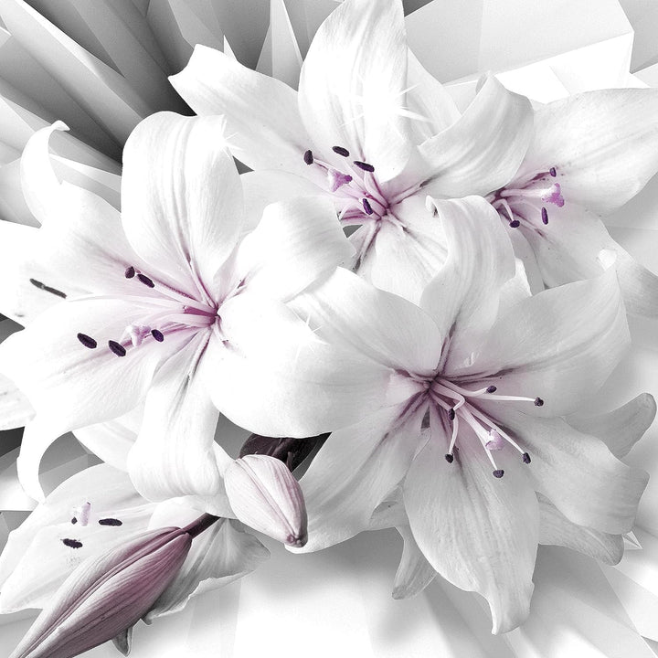 Runa Art Wandbilder Blumen Lilien Bild XXL Wohnzimmer Schlafzimmer Grau Violett Abstrakt 120 x 80 cm