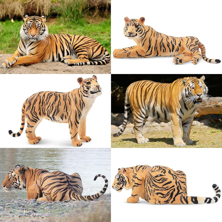 TOYMANY 6 Stück Tiger Tiere-Figuren mit Tigerjungen, Dschungeltierfiguren Spielzeugfiguren, Familien