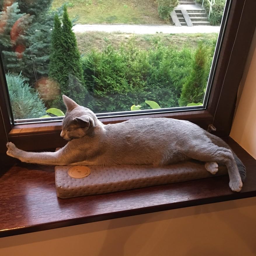 Prime Katzen Fensterliege Für Katzen, Fensterbank mit Einer Rutschfesten Rückseite, Katzenbett Fenst