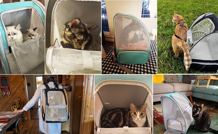 Grosser Katze-Träger-Rucksack, Haustier-Träger für kleinen Hund bis zu 16 Pfund, atmungsaktiver entl